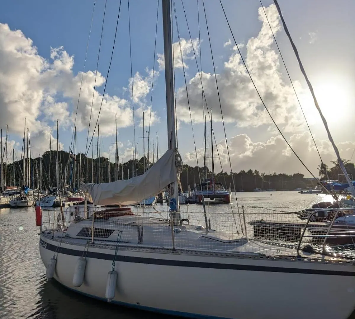 ホテル Dormez Sur L'Eau Sejour Sur Un Voilier Studio A La Marina Du Gosier ル・ゴジエ